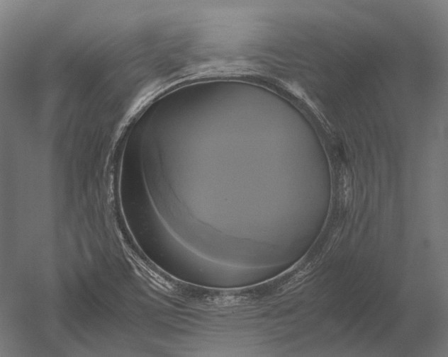 X0000051241459200507011613