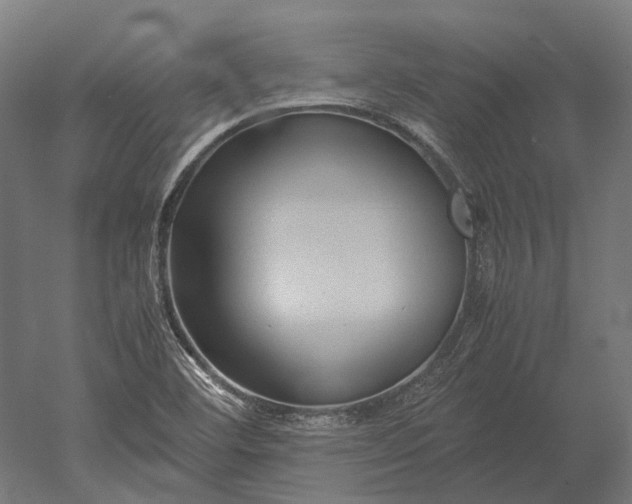 X0000051241460200507011613