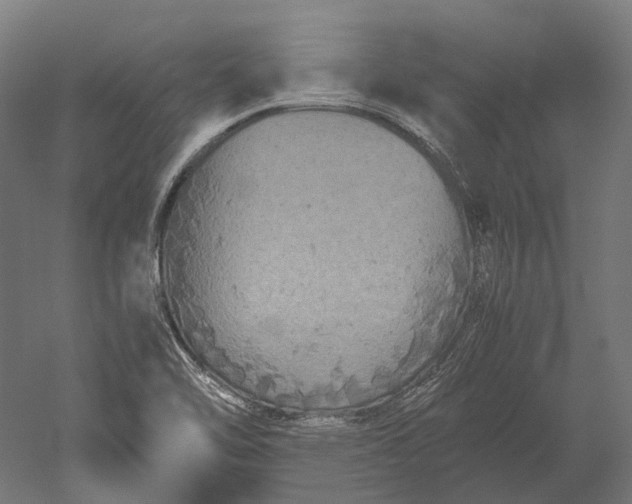 X0000051241462200507011613