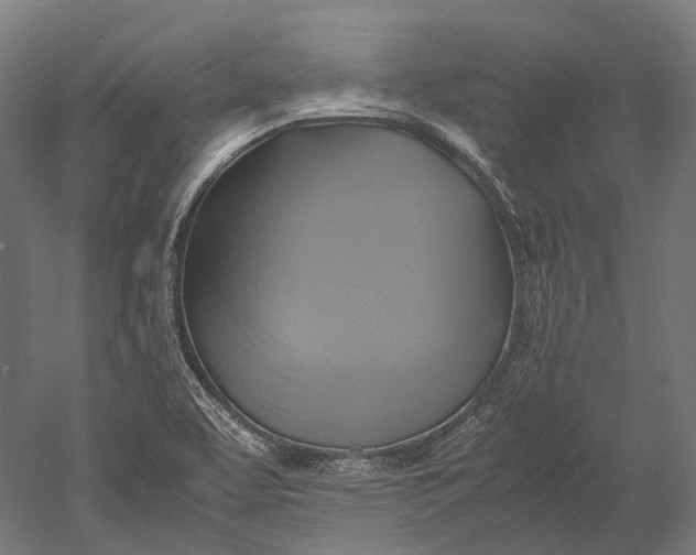 X0000051241463200507011613