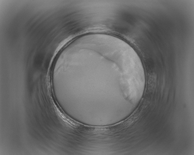 X0000051241466200507011613