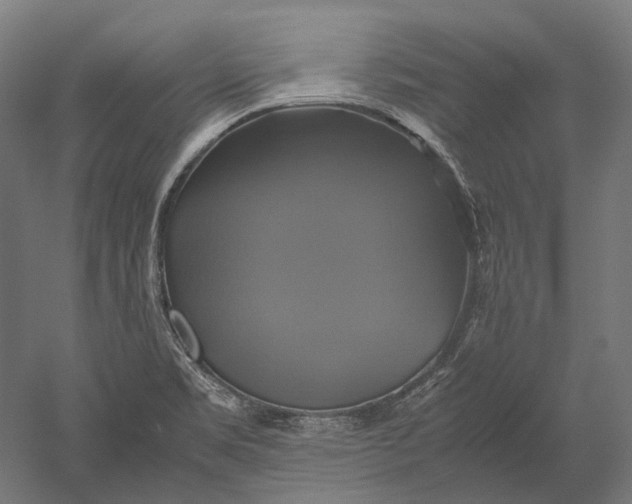 X0000051241469200507011613