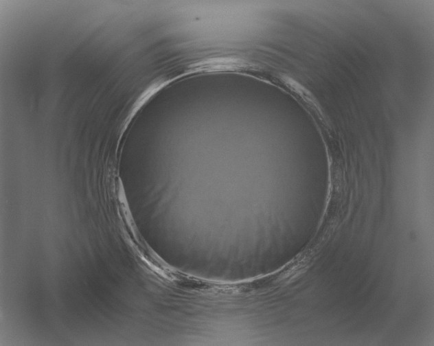 X0000051241473200507011613