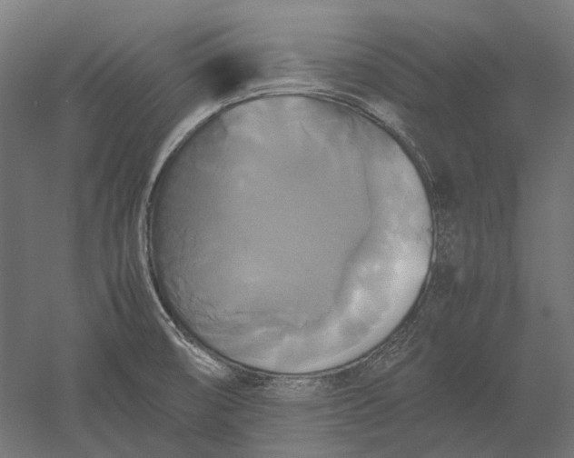 X0000051241474200507011613