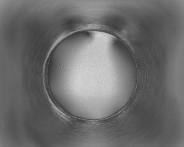 X0000051241475200507011613