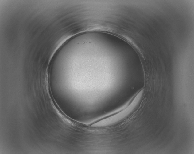 X0000051241476200507011613