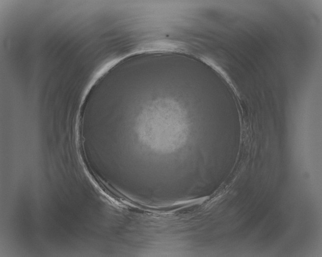 X0000051241477200507011613