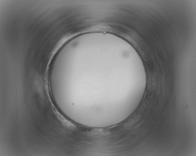 X0000051241478200507011613