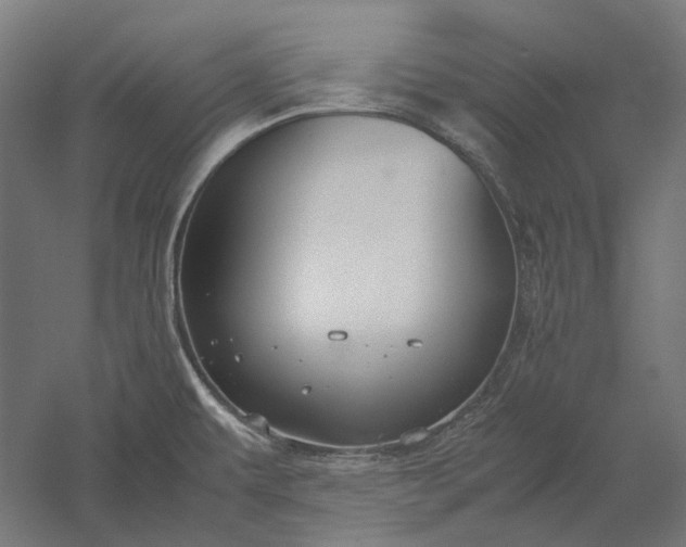 X0000051241479200507011613