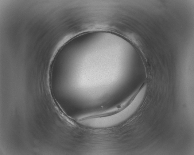 X0000051241480200507011613