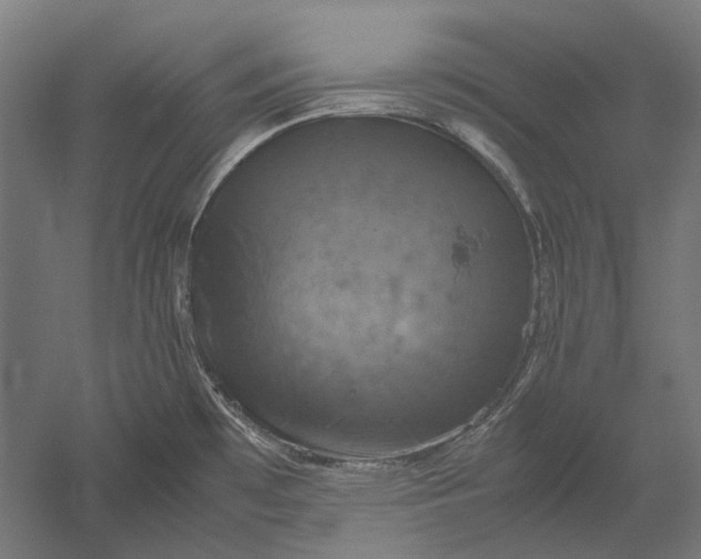 X0000051241481200507011613