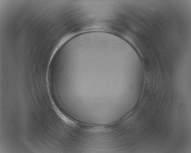 X0000051241482200507011613