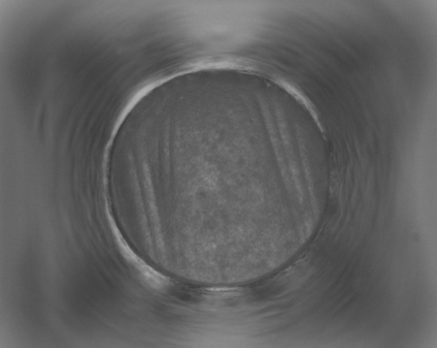 X0000051241483200507011613