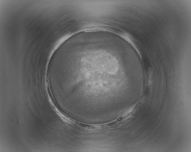 X0000051241485200507011613