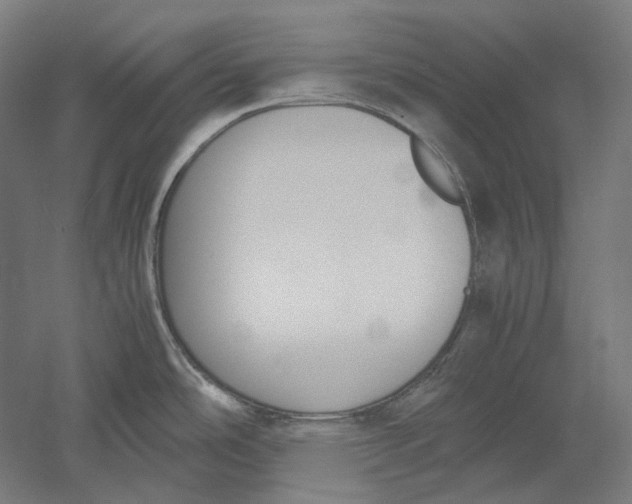 X0000051241486200507011613