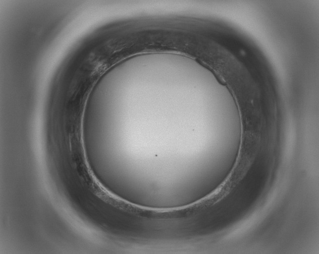 X0000051241487200507011613