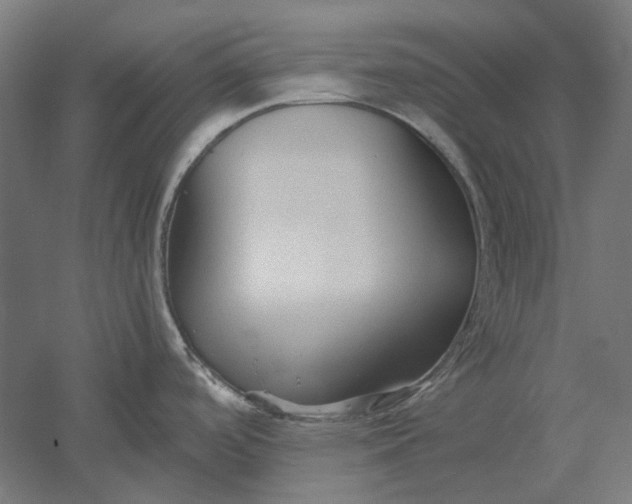 X0000051241488200507011613