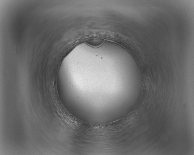 X0000051241489200507011612