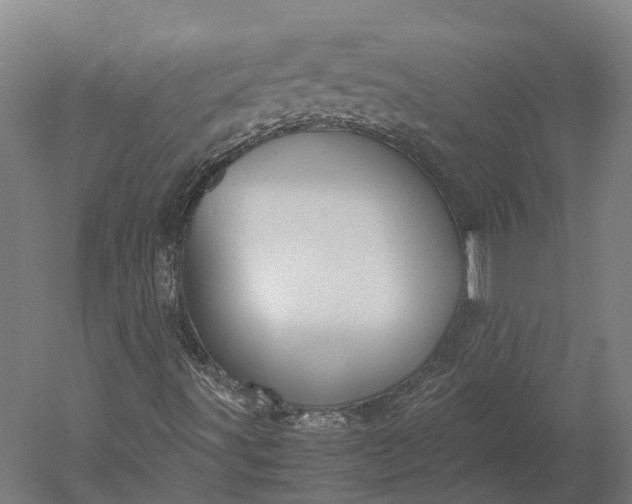 X0000051241491200507011612