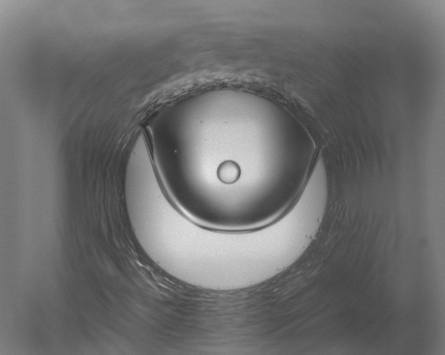 X0000051241492200507011612