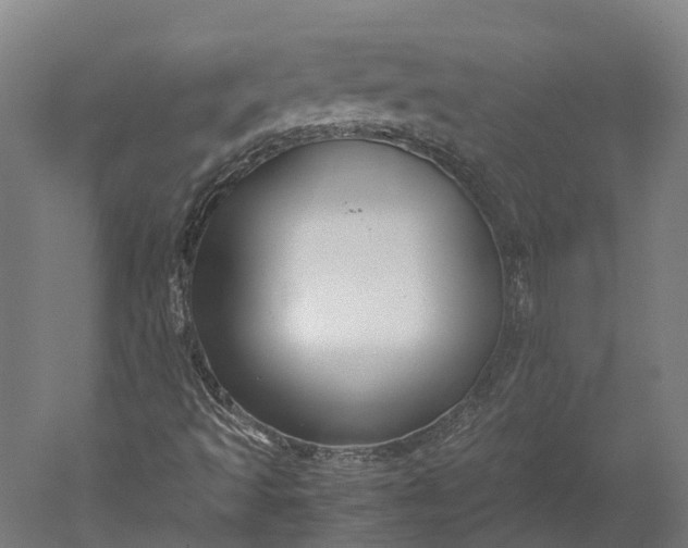 X0000051241493200507011612