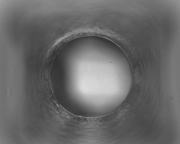 X0000051241494200507011612