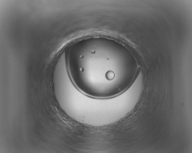 X0000051241496200507011612