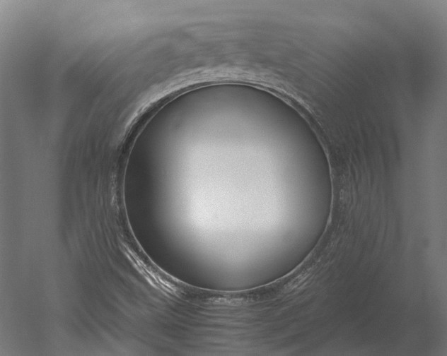 X0000051241499200507011612