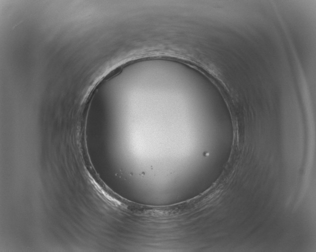 X0000051241500200507011612