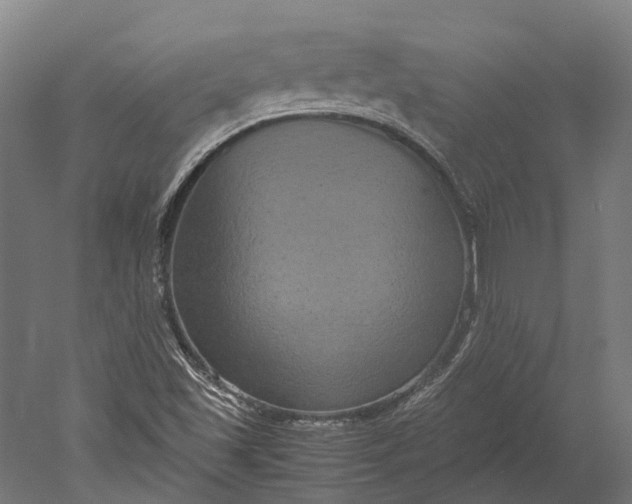 X0000051241501200507011612