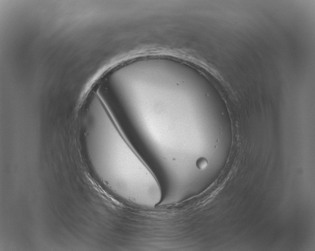 X0000051241502200507011612