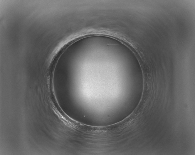 X0000051241503200507011612