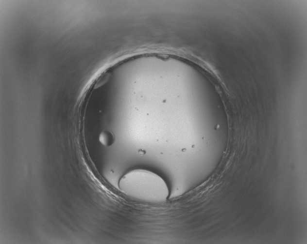 X0000051241504200507011612