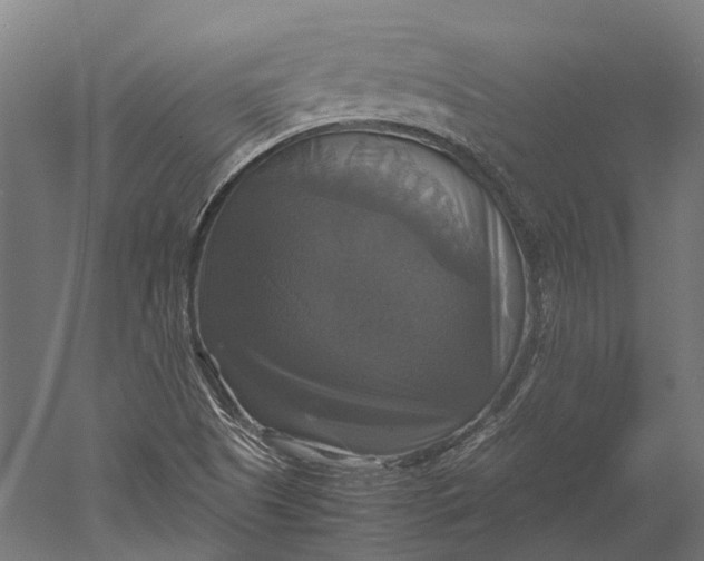 X0000051241505200507011612