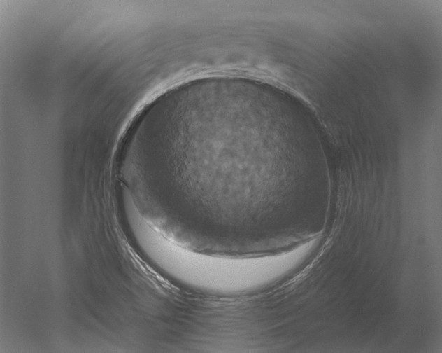 X0000051241506200507011612