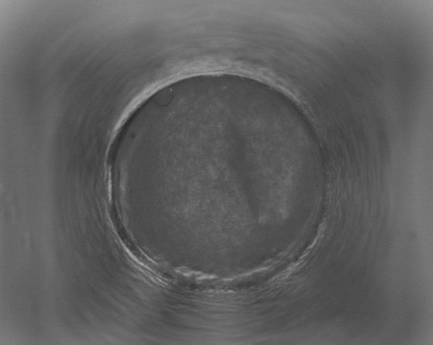 X0000051241509200507011612