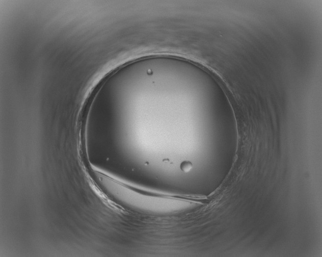 X0000051241511200507011612