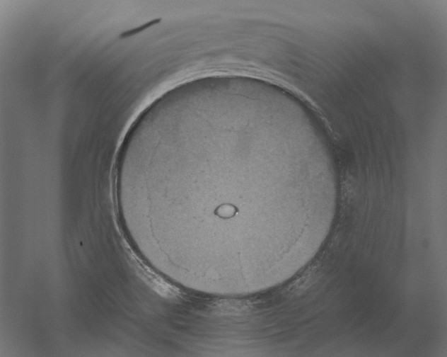 X0000051241514200507011612