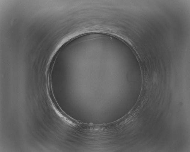 X0000051241515200507011612