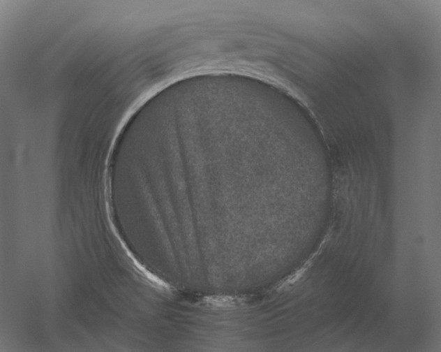 X0000051241517200507011612