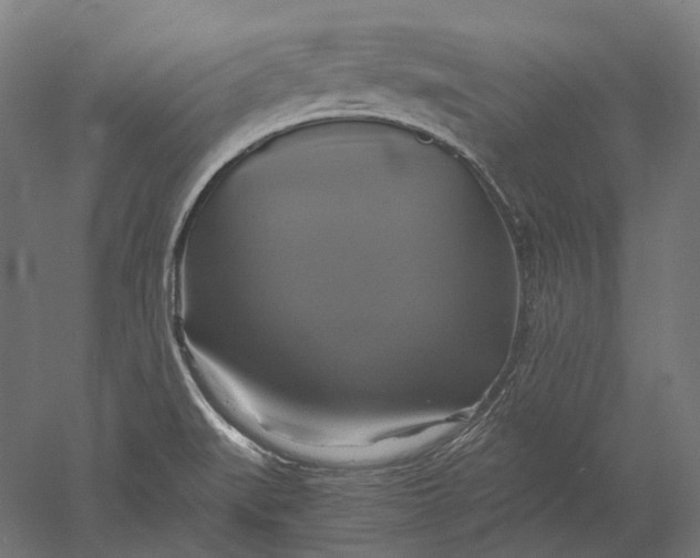 X0000051241519200507011612