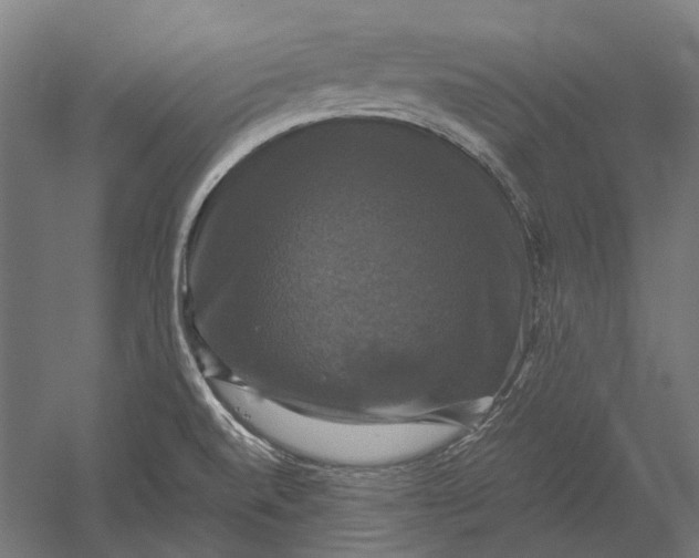 X0000051241520200507011612