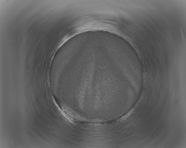 X0000051241521200507011612