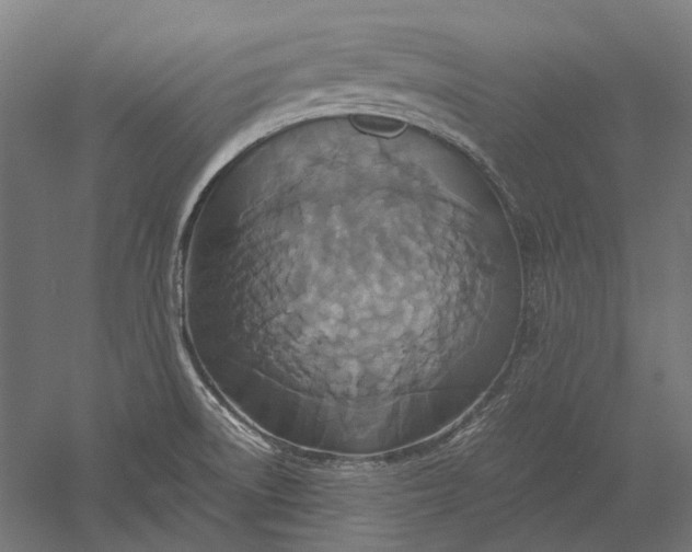 X0000051241522200507011612