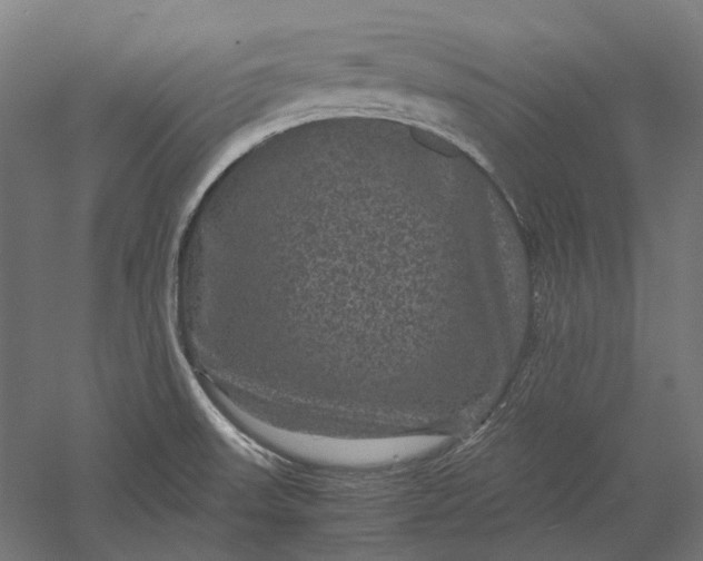 X0000051241523200507011612