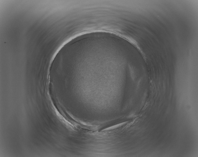 X0000051241524200507011612