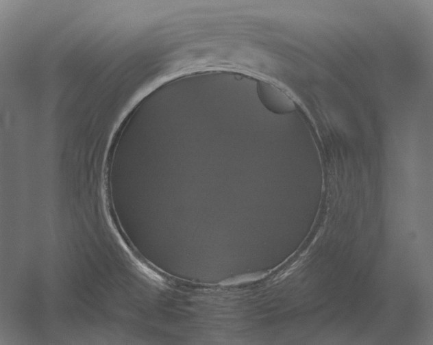 X0000051241525200507011613