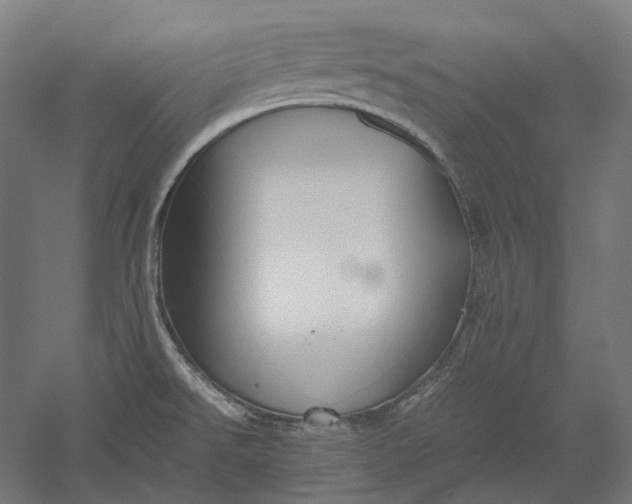 X0000051241526200507011613