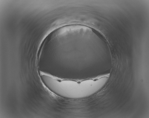 X0000051241527200507011613