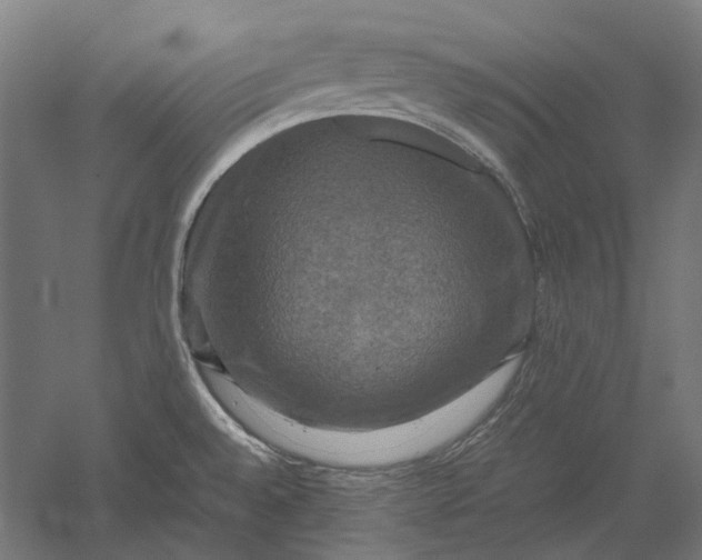 X0000051241528200507011613